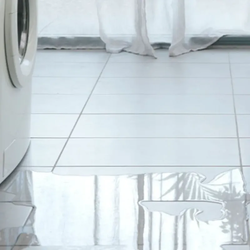Appliance Leak Cleanup in Chesapeake Beach, MD