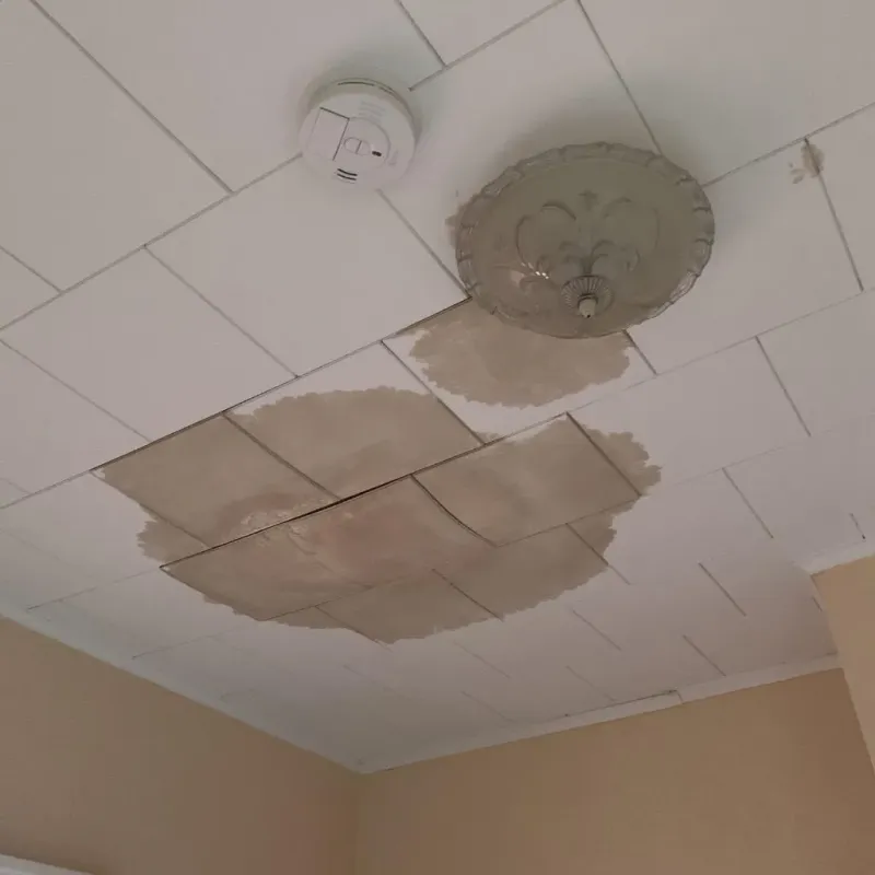 Ceiling Water Damage Repair in Chesapeake Beach, MD