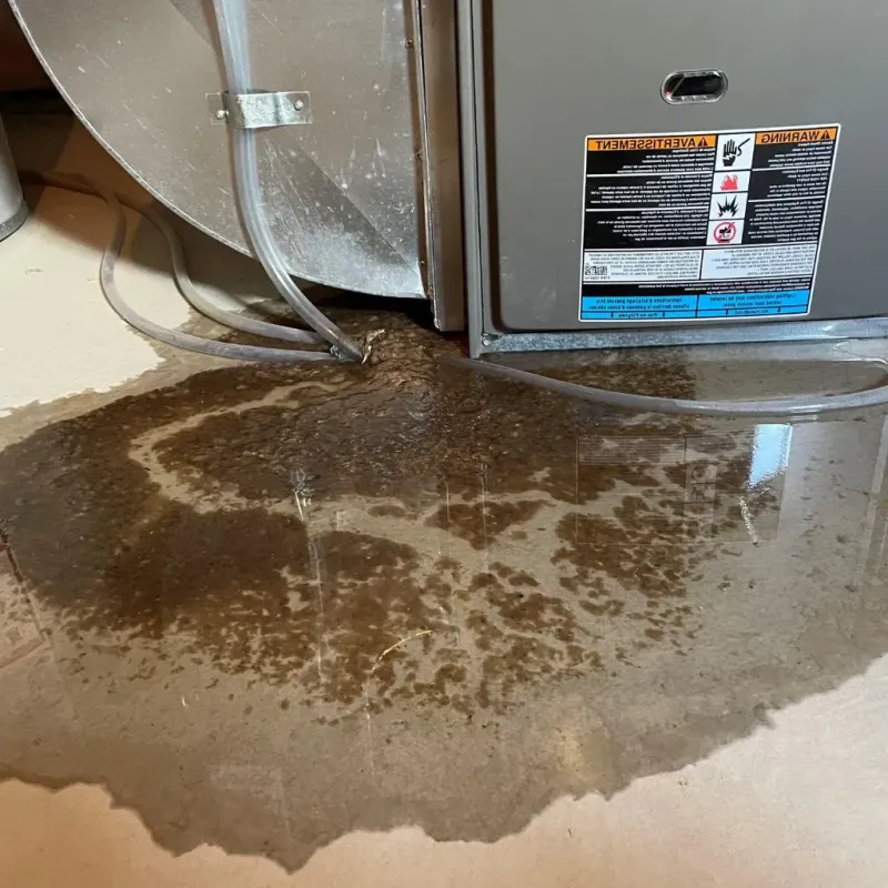 Pipe Burst and Leak Restoration in Chesapeake Beach, MD
